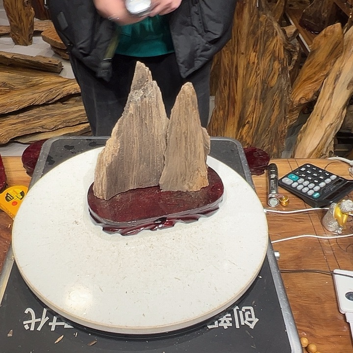 松木（琥珀木）权山东