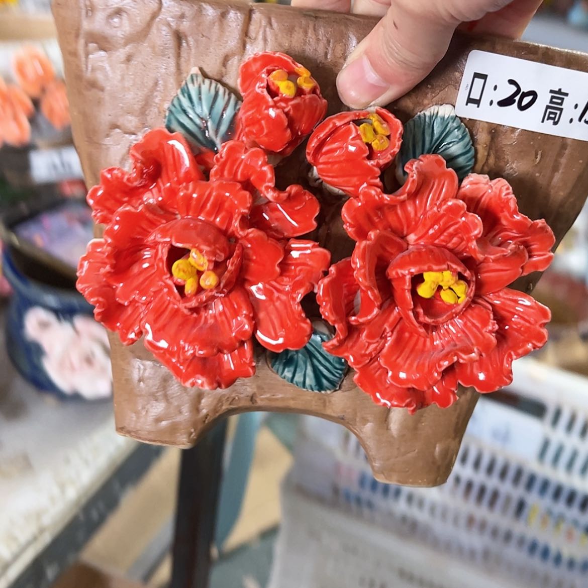 【闪购商品】红陶福利