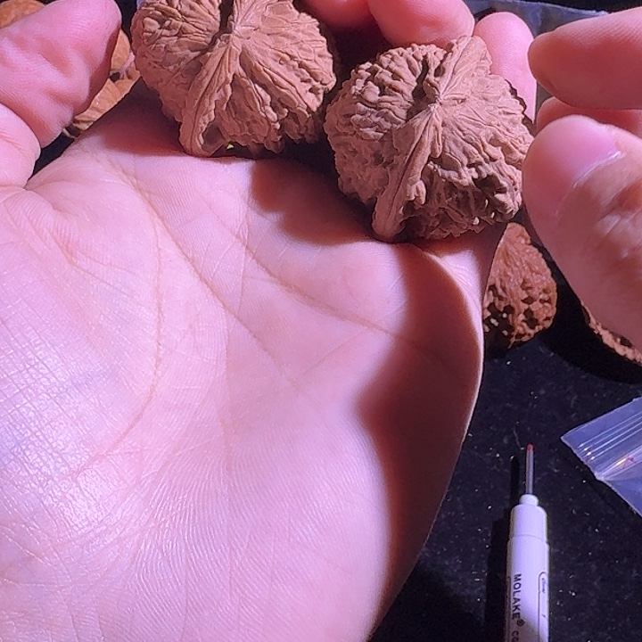 文玩核桃吊坠39尺寸的白狮子