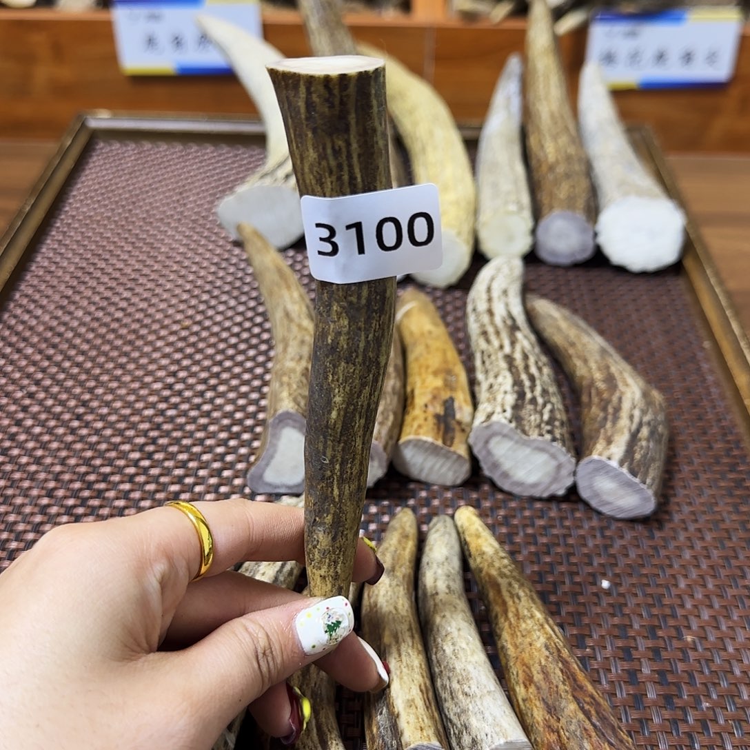 鹿骨手串/手链角尖3100