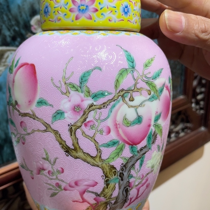 盘福利来啦，福利来啦，福利