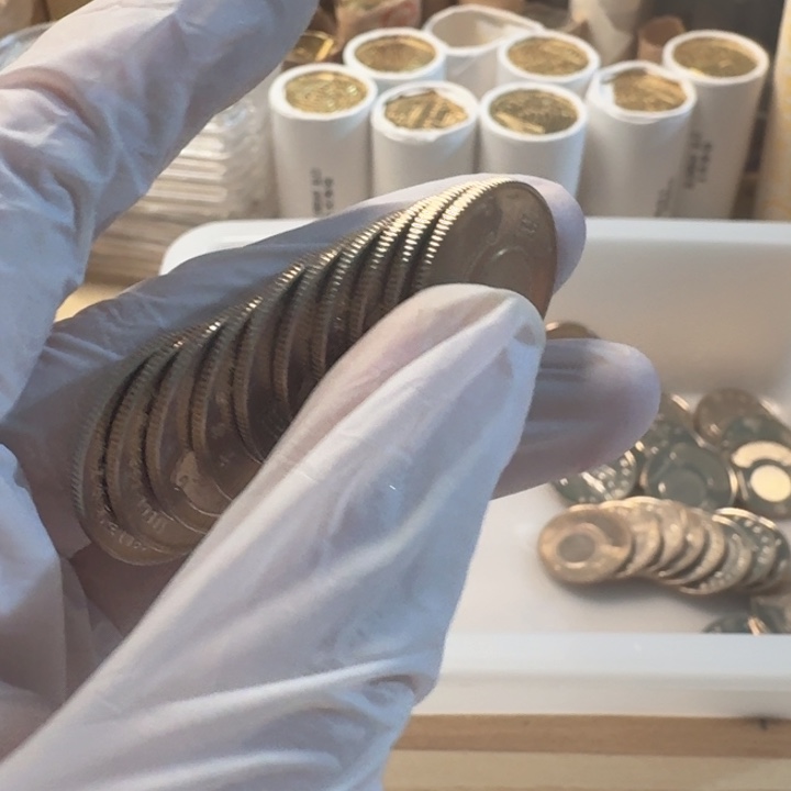 其他普通金属10枚，风调雨顺币