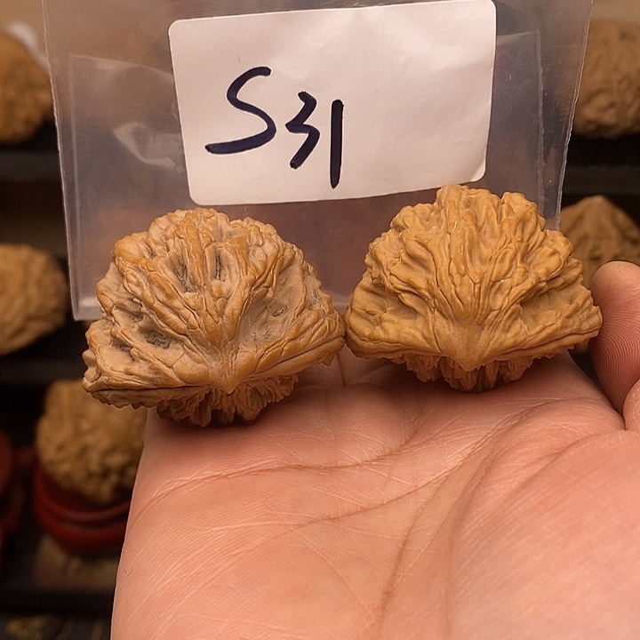 文玩核桃吊坠蛇王