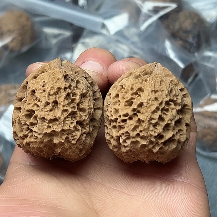 核桃14号官印42尺