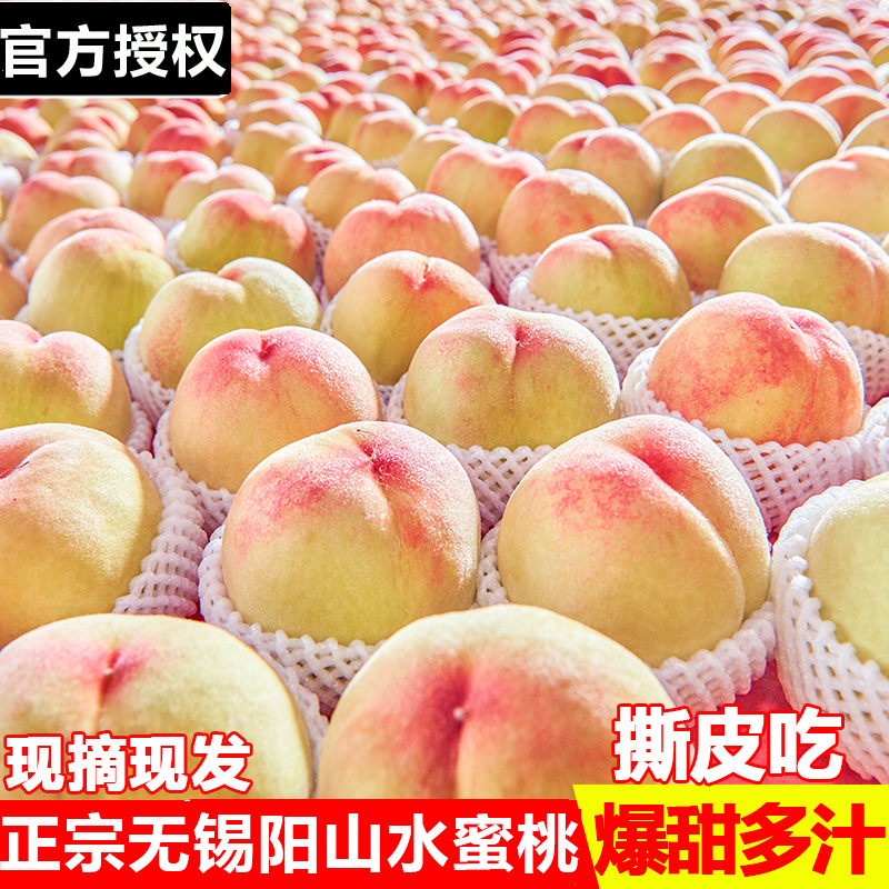 【买6送6到手12只】正宗无锡湖景水蜜桃应季新鲜撕皮爆汁孕妇水果A