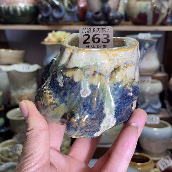 狼盆内口径5高度7（2个50）