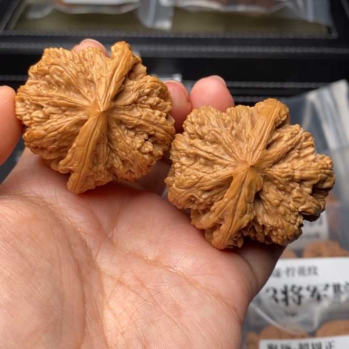 文玩核桃把件45米顶粗筋