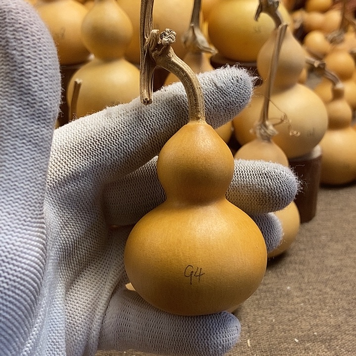 文玩葫芦 完美主义者 慎拍94