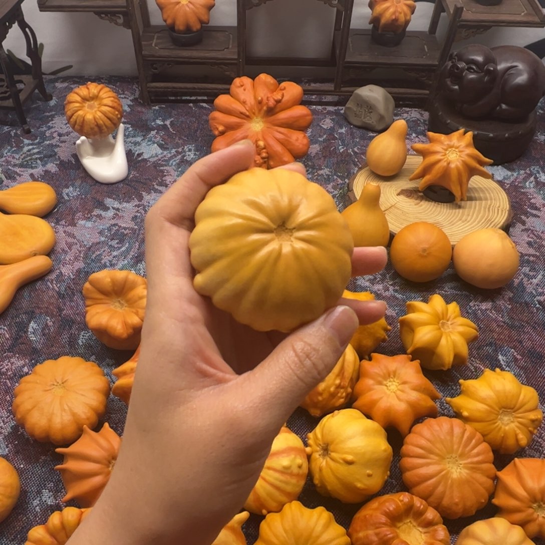 墨西哥葫芦小黄饼