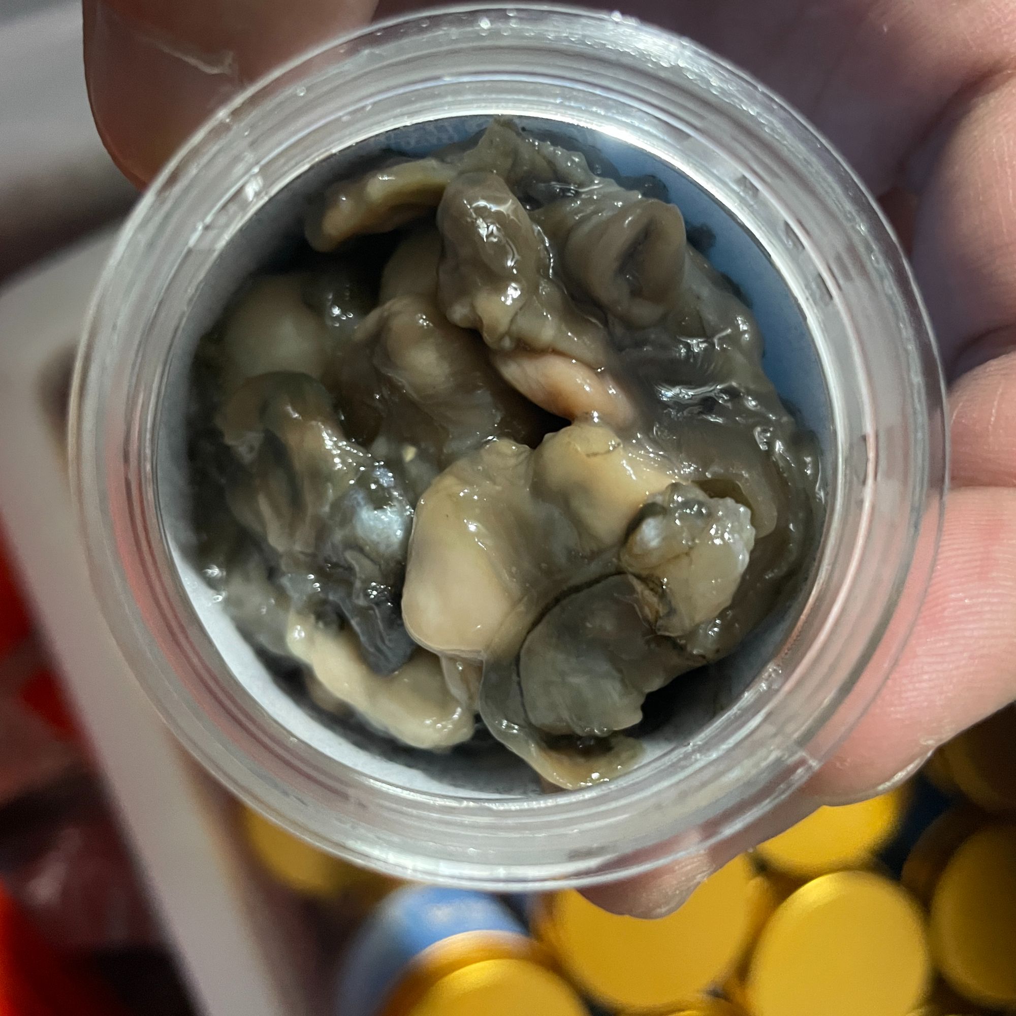 【海蛎肉100克装】海钓叽钓饵料黑鲷黄脚白蜡附勾牢上鱼快嘎一口闷