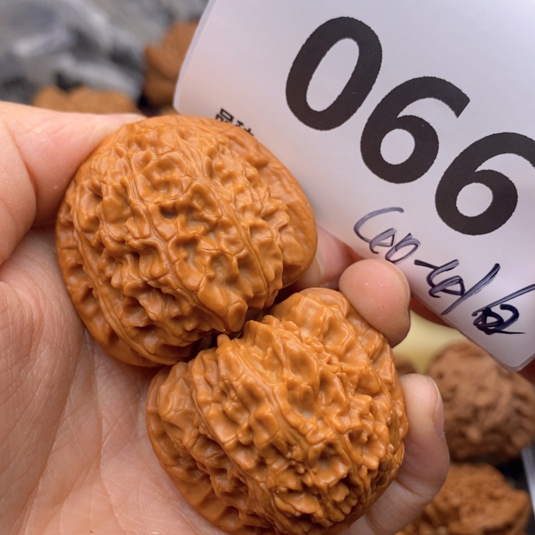 文玩核桃把件066号40白