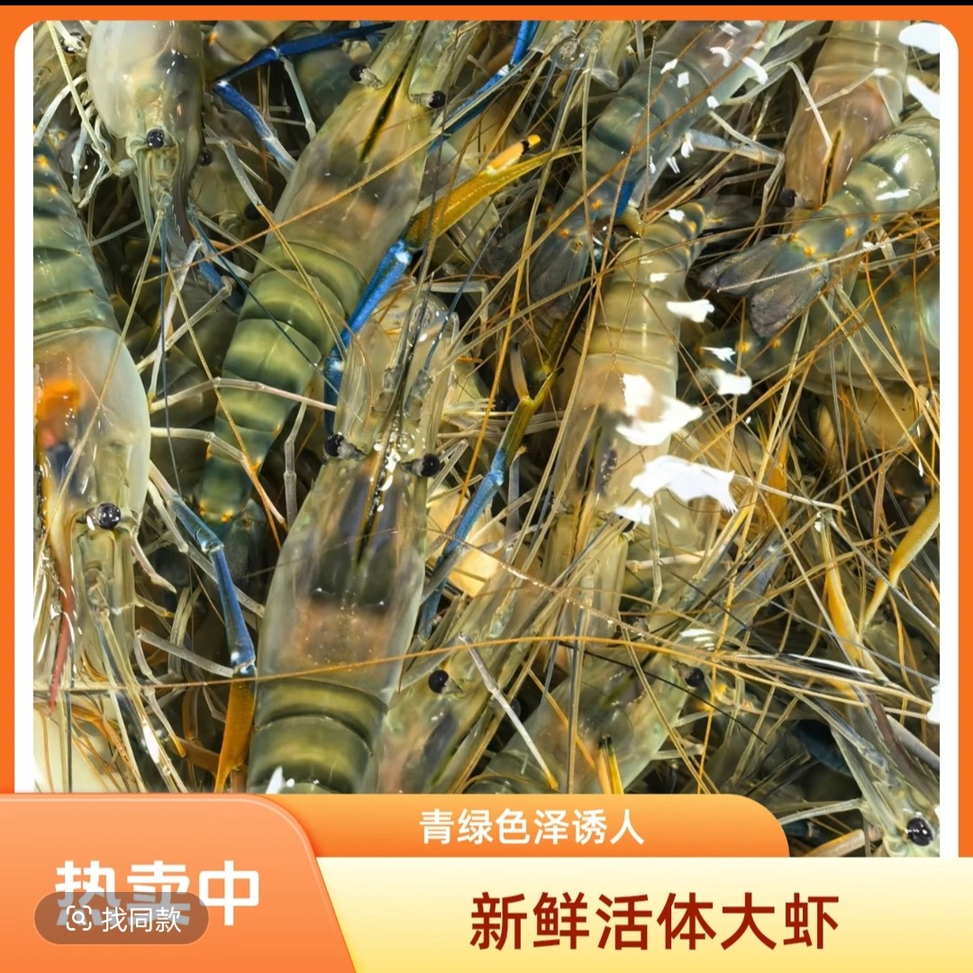 [鲜活]罗氏虾(中大虾混)2-3斤装/充养活发(保鲜不保活)