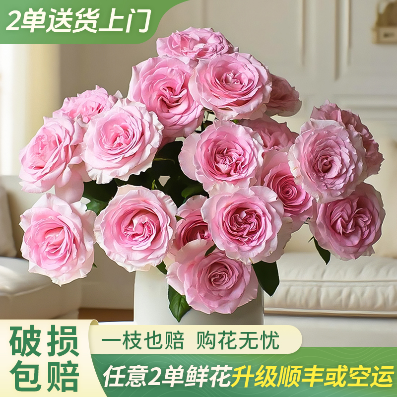 【大聪明卖花】洛神玫瑰云南直发鲜花家居水养鲜花花束-新年福利