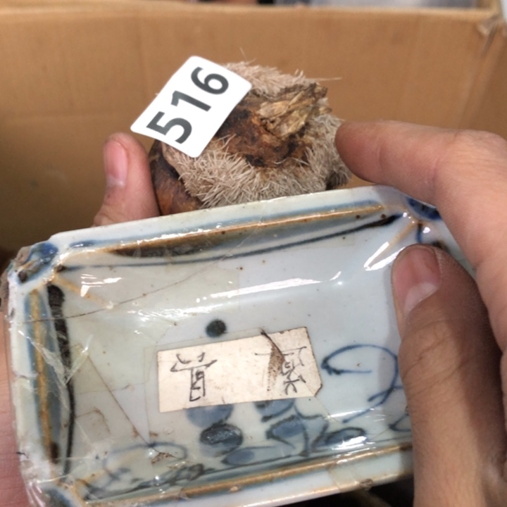 陶瓷孤品单件车里拍