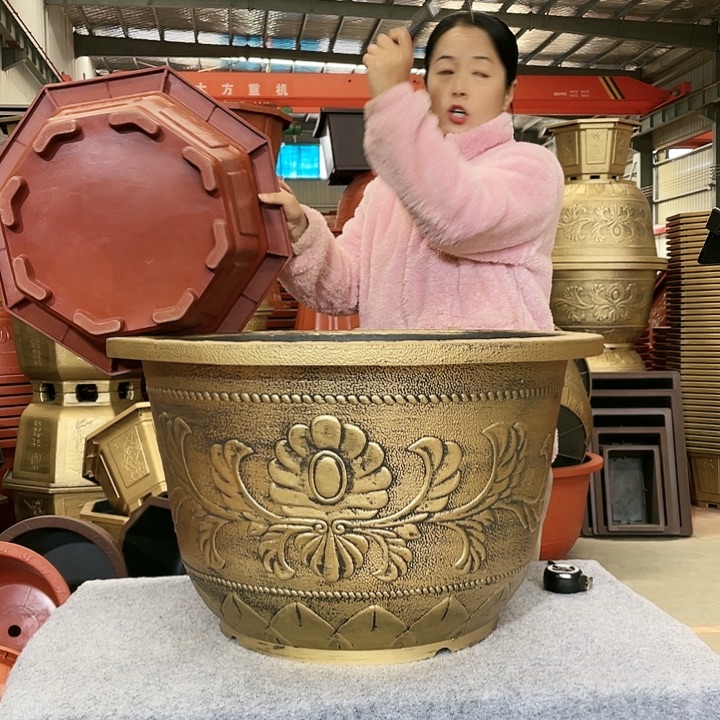 八角红色五零两个