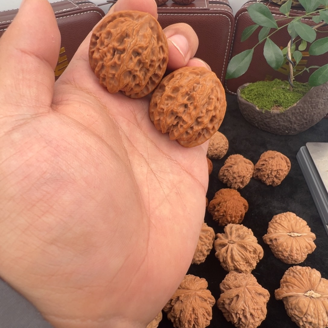 核桃精对苹果园福利