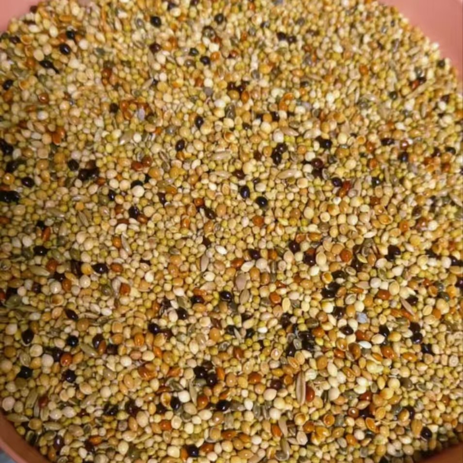 鸟粮专用粮500克