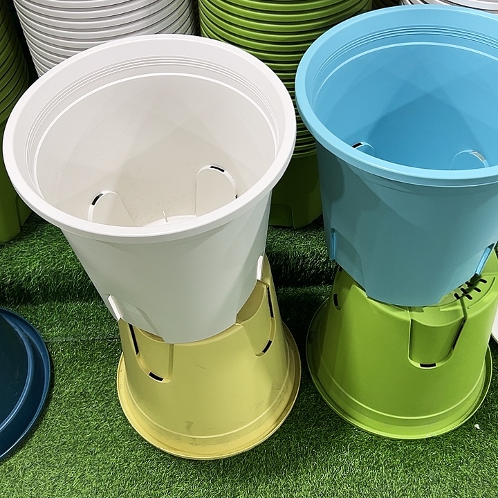 正品圆控根口37高34.5果绿带托8个