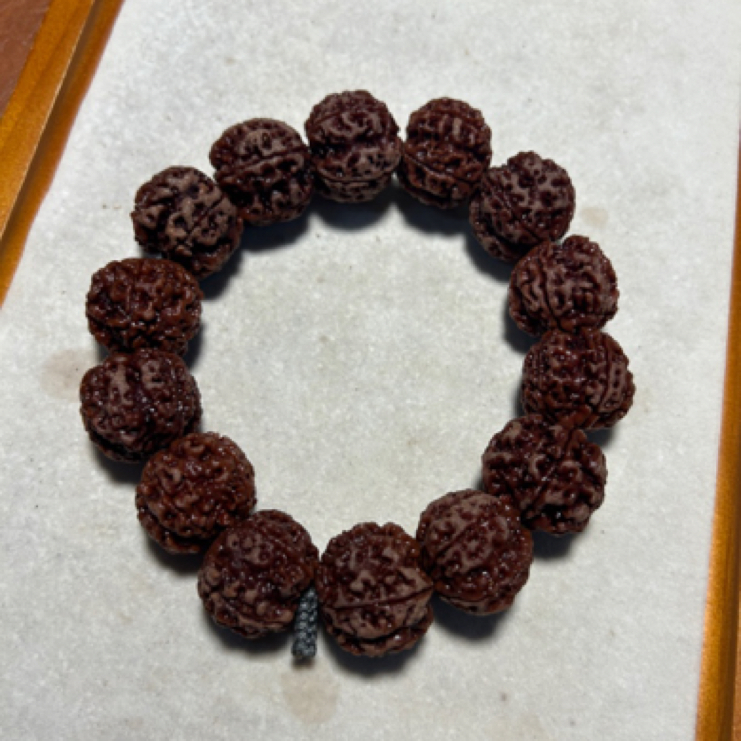 25尺寸原生态五瓣蜂窝双龙