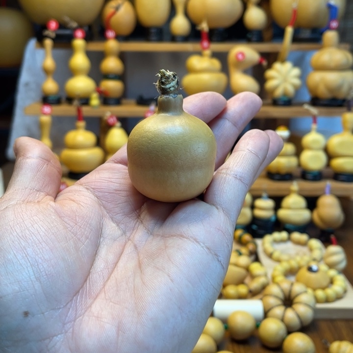 快***牛天然葫芦自然生长