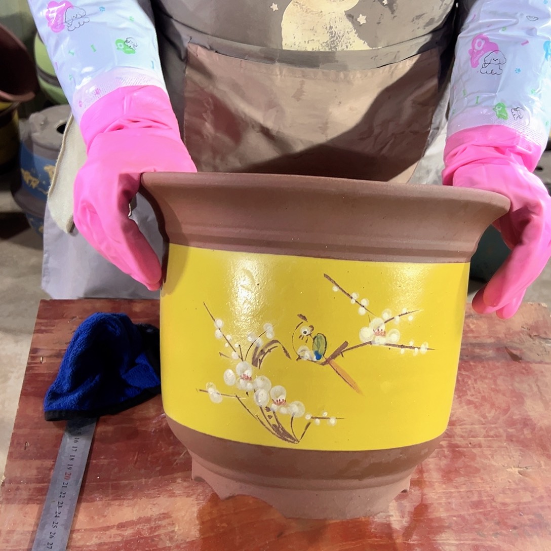 30黄金钟点菜大花盆