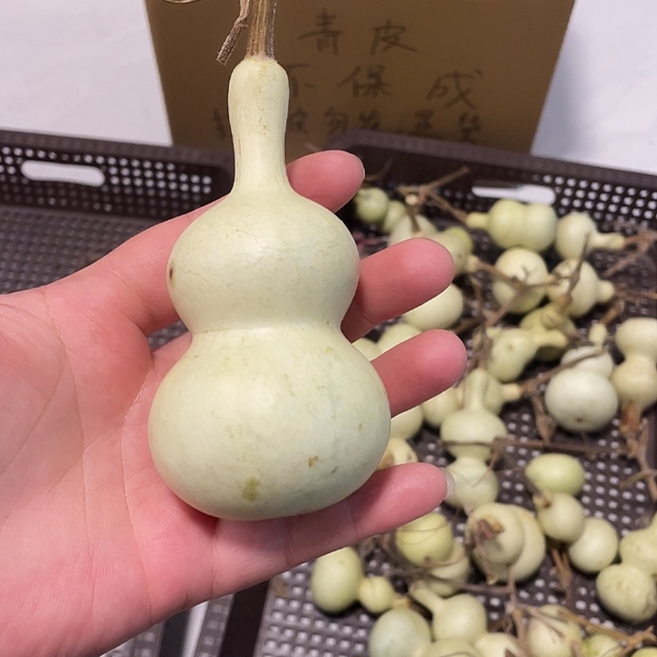 屡***风感谢大哥支持不保成
