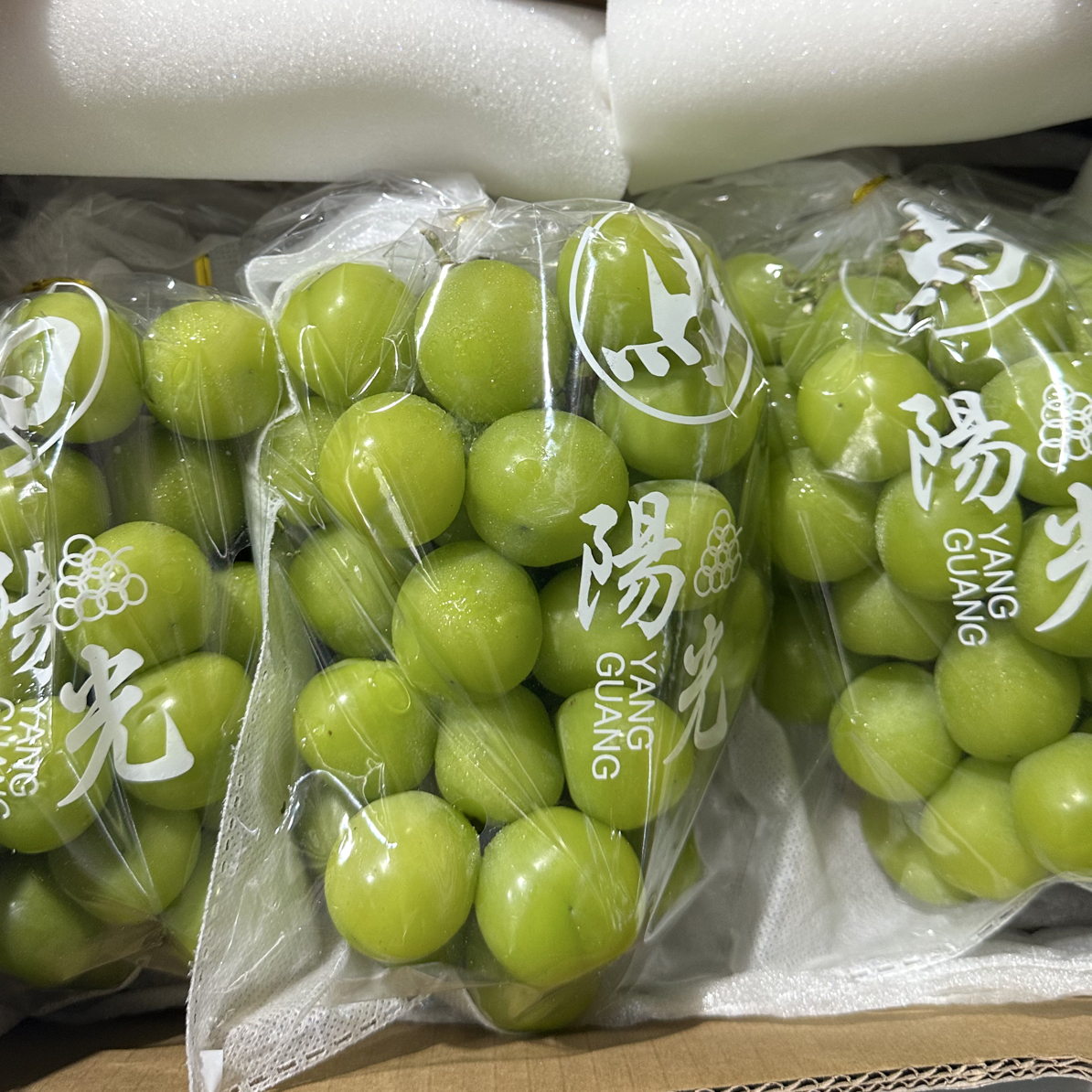 【同城配送】凯敏果业 香印一件毛重4-4.5斤左右新鲜水果 现货直发 广东省