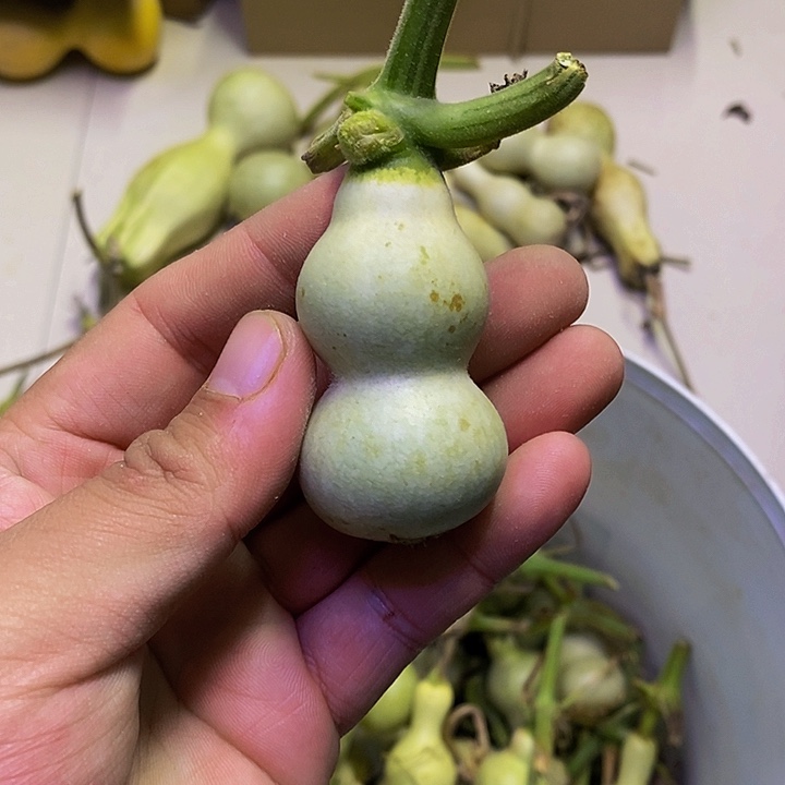 智**门哈哈哈哈哈哈哈哈哈哈哈