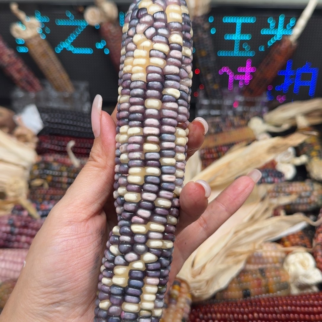 柏香籽/百香籽吊坠¥****1