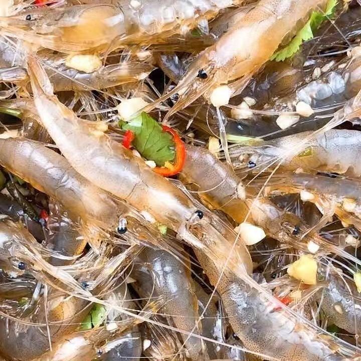 生呛虾【每瓶含汤280g】开罐即食江浙沪风味 生呛小白虾