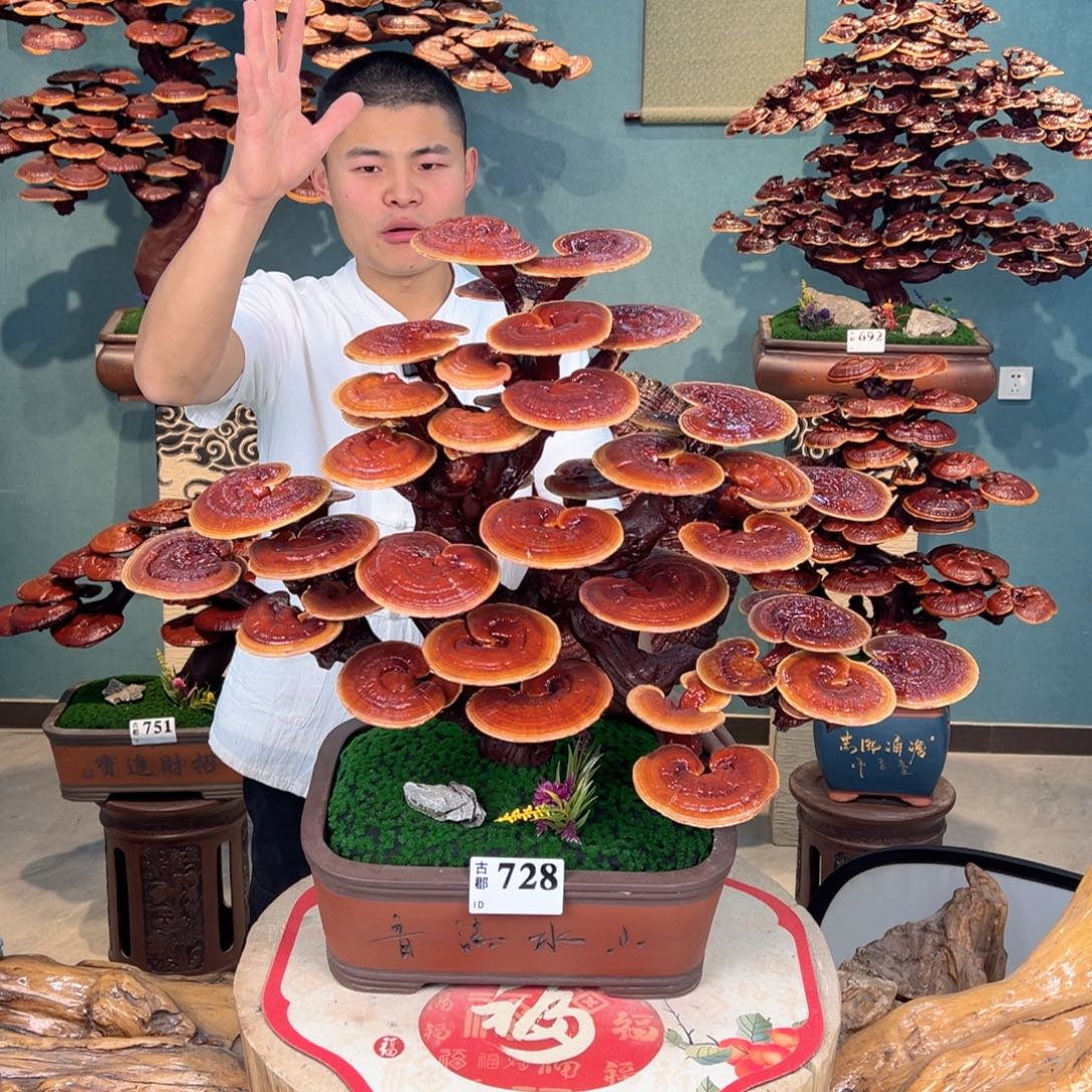 无花朵88888888888