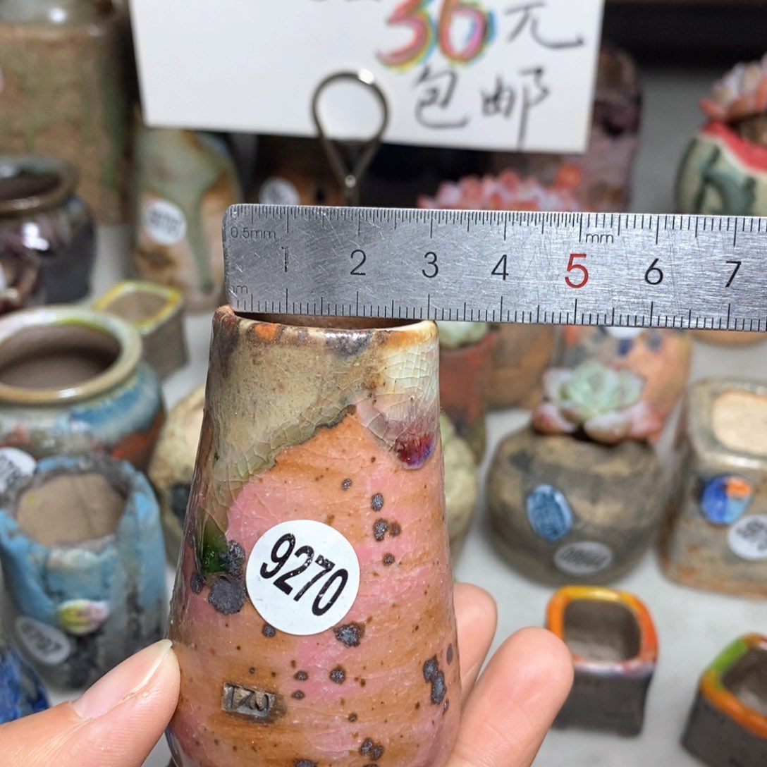 花盆拍5送一个小礼物