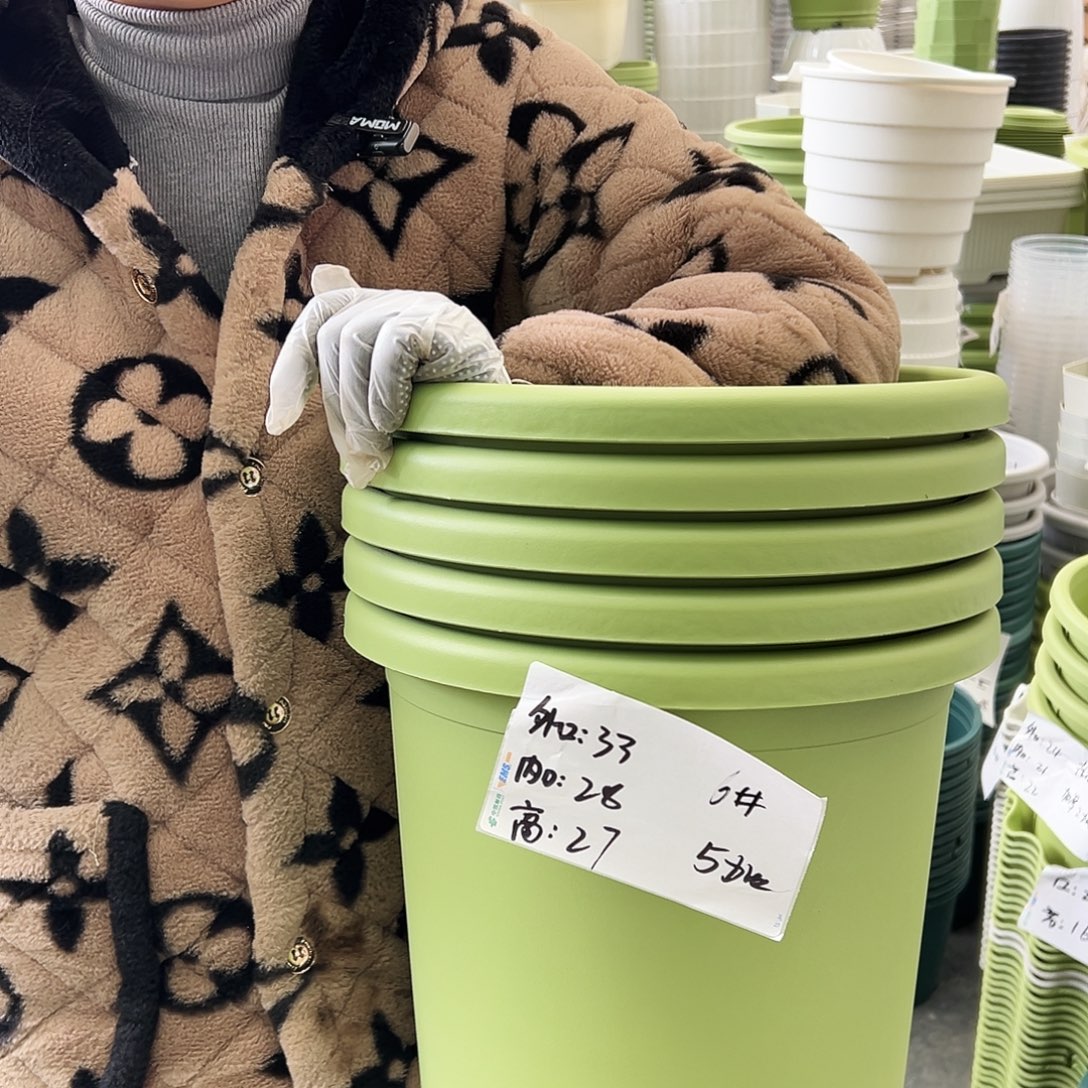 四季盆6#果绿色5个无托