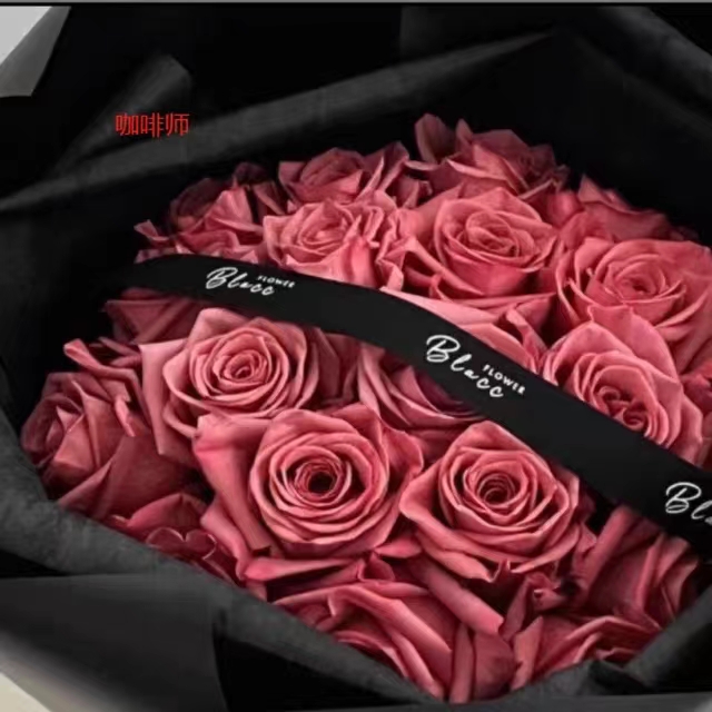 咖啡师中苗四季开花