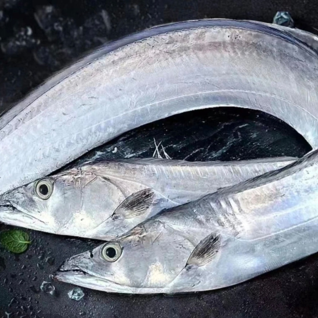 大带鱼链接里面有选重量 速冻后发货