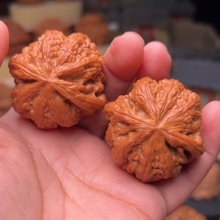 發***核桃44大粗筋大粗筋大粗筋