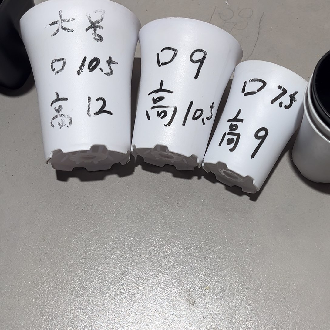 爆***巫加厚圆万象大中小号各10个无托白色