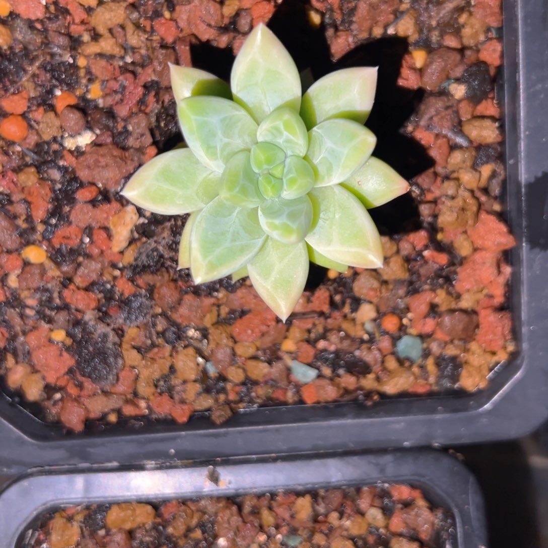 ?****i符合过得很好小姐姐处