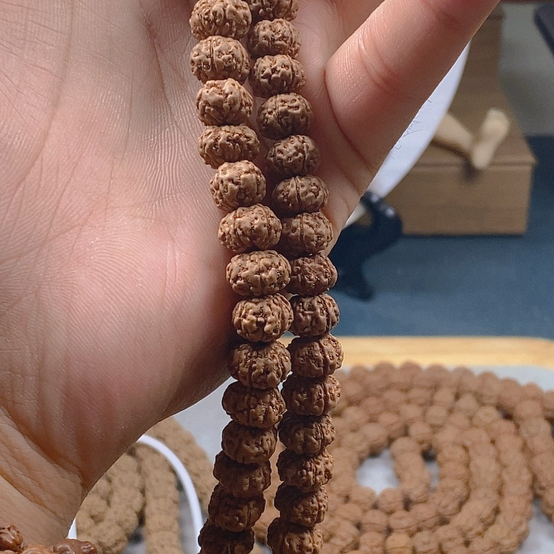 吊坠金刚菩提五瓣树王