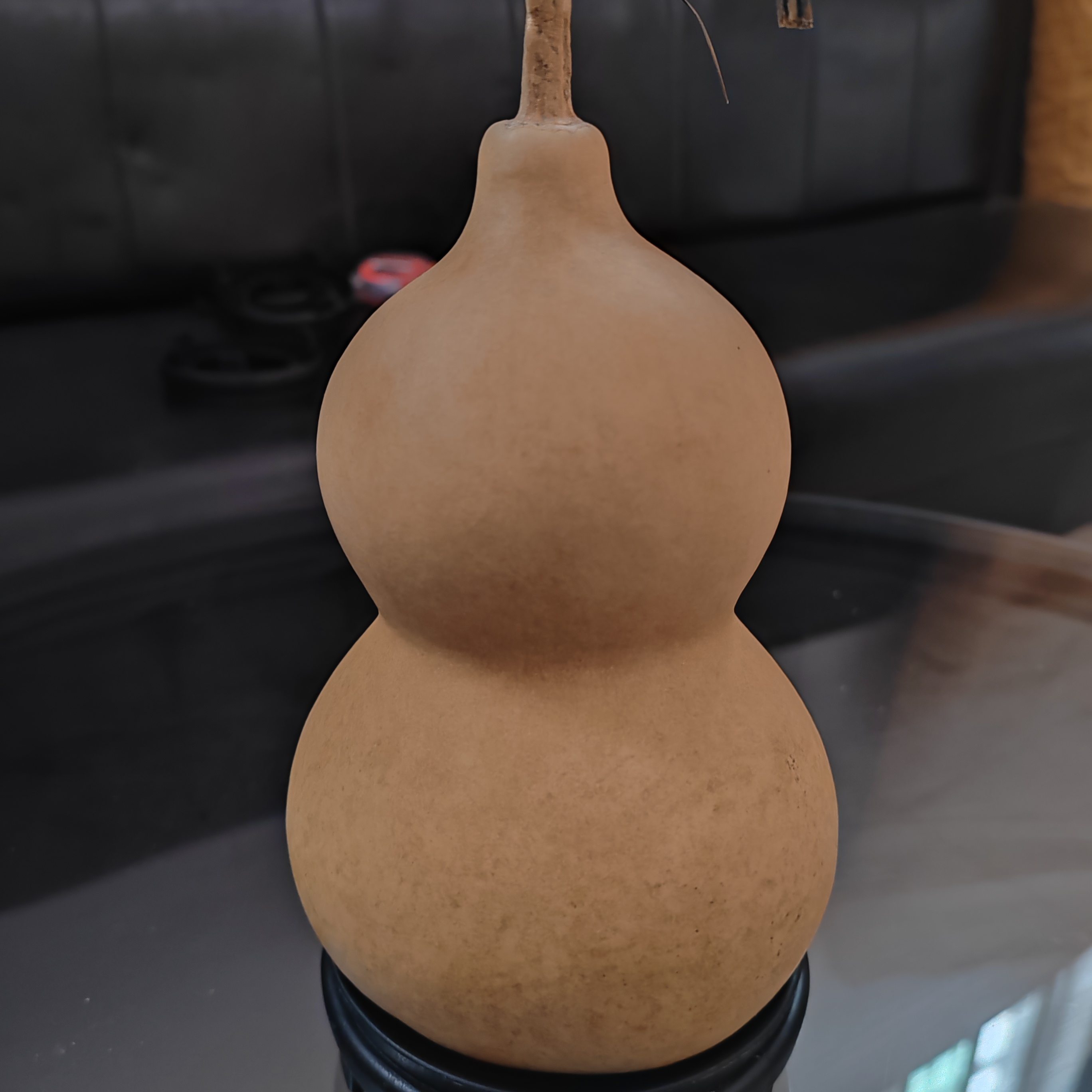 顺译葫芦直播间专用链接（一物一拍）