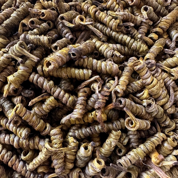 精选特级霍山石斛