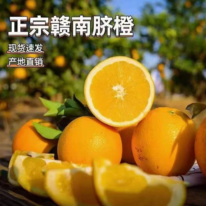 正宗赣南信丰县脐橙新鲜采摘产地直发【顺丰包邮】
