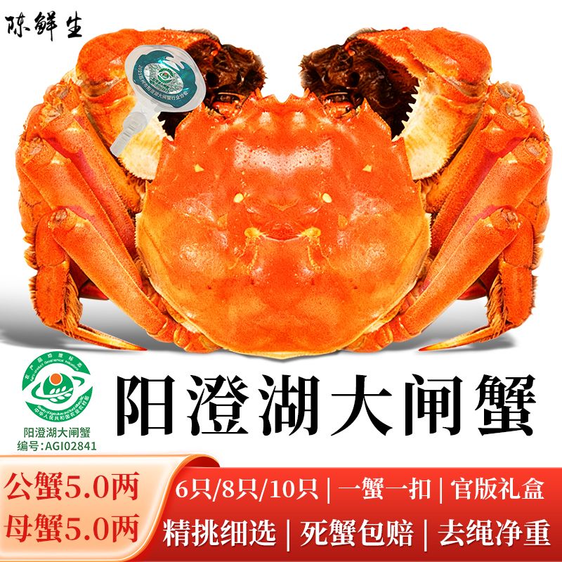 【阳澄湖大闸蟹】5两公+5两母6/8/10只顺丰冷链活蟹现发高标准塘养