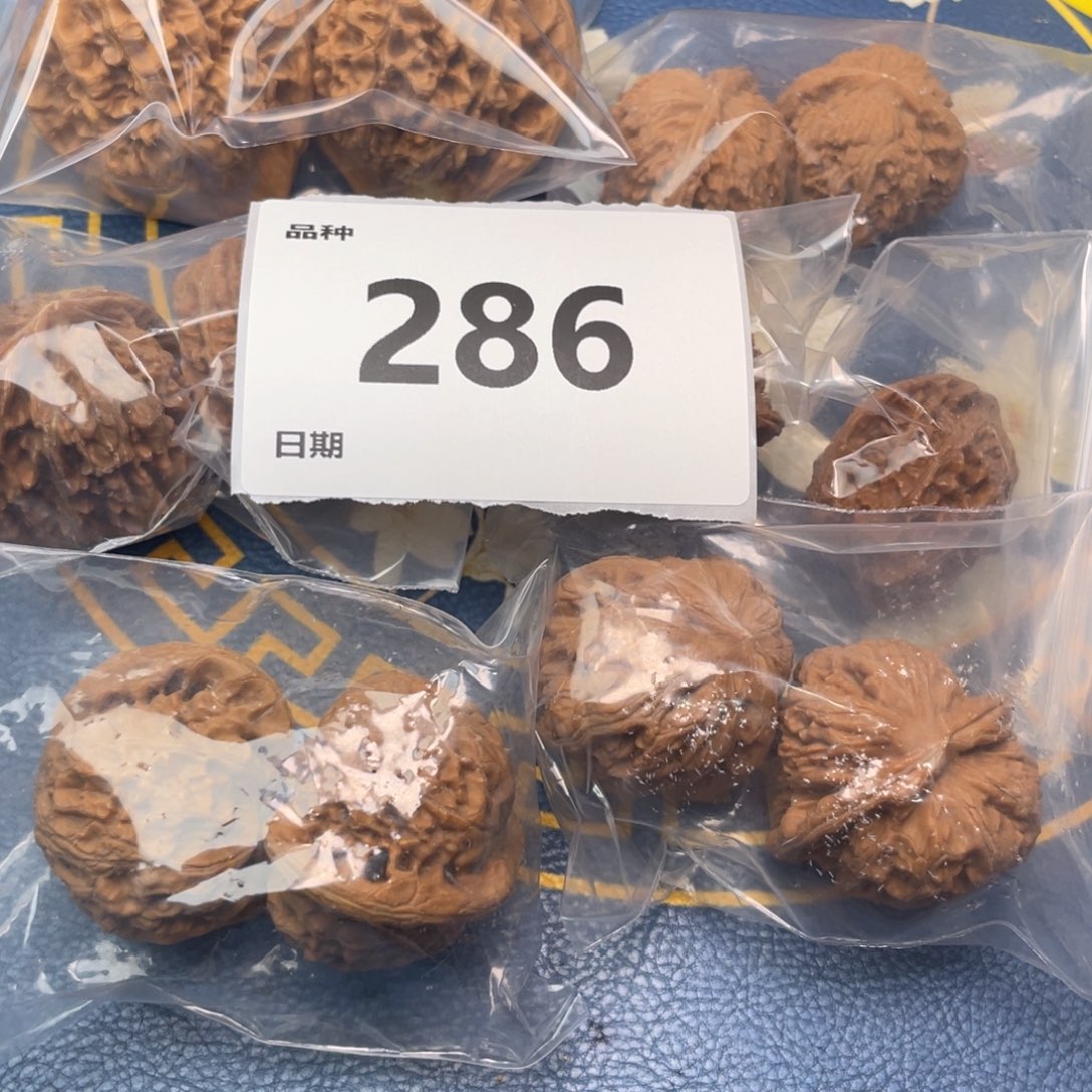 把件文玩核桃286号6对带练手元宝