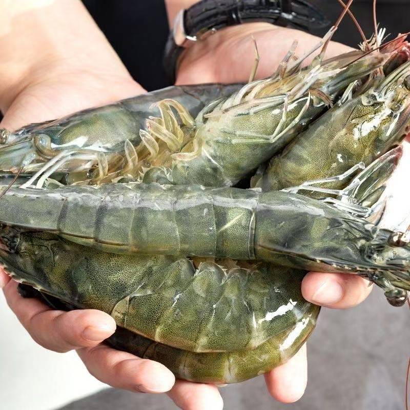 【4050】【海洋大虾】海水大虾单只15cm左右 2000g/盒含薄碎冰锁鲜 共50~60只海虾