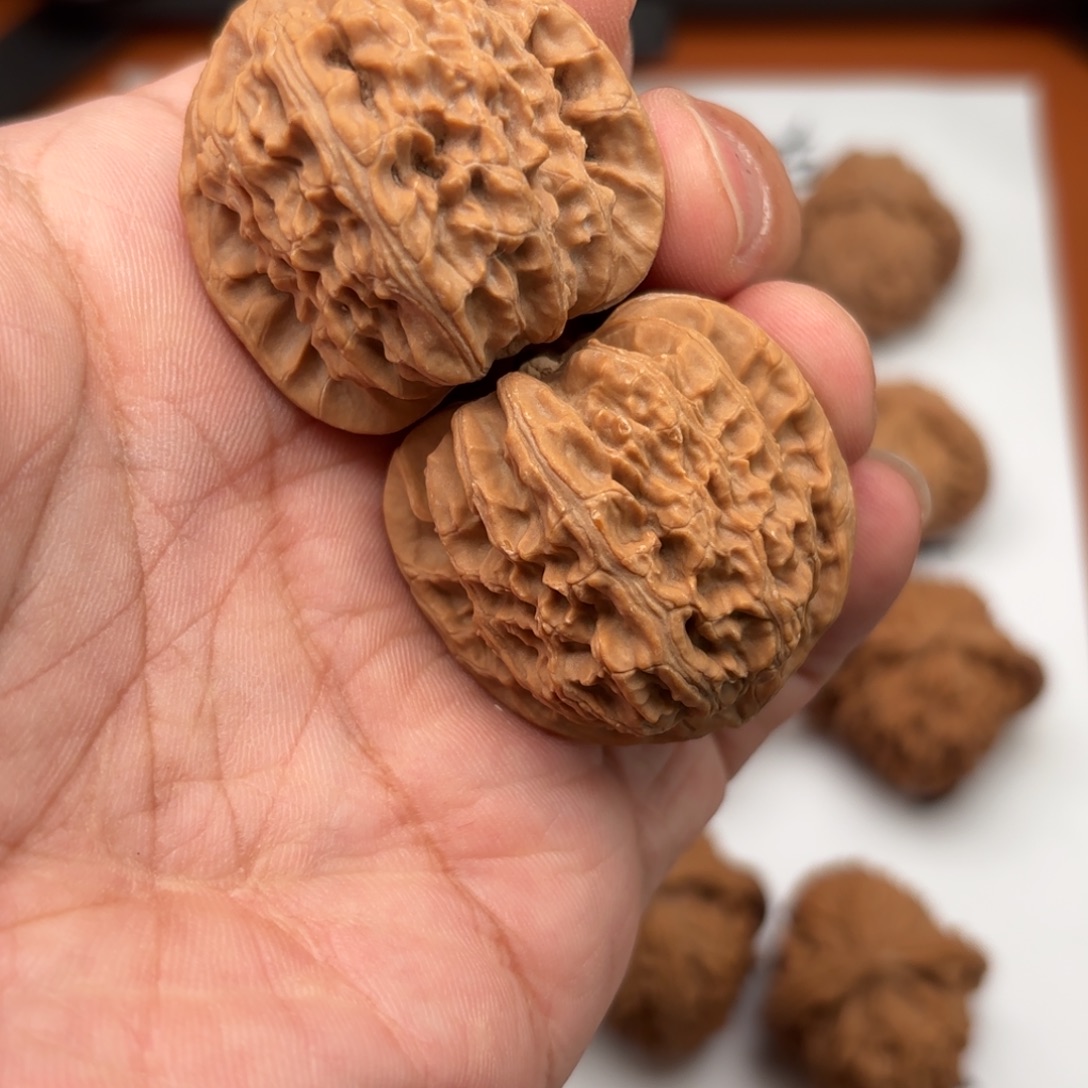 文玩核桃把件白狮子