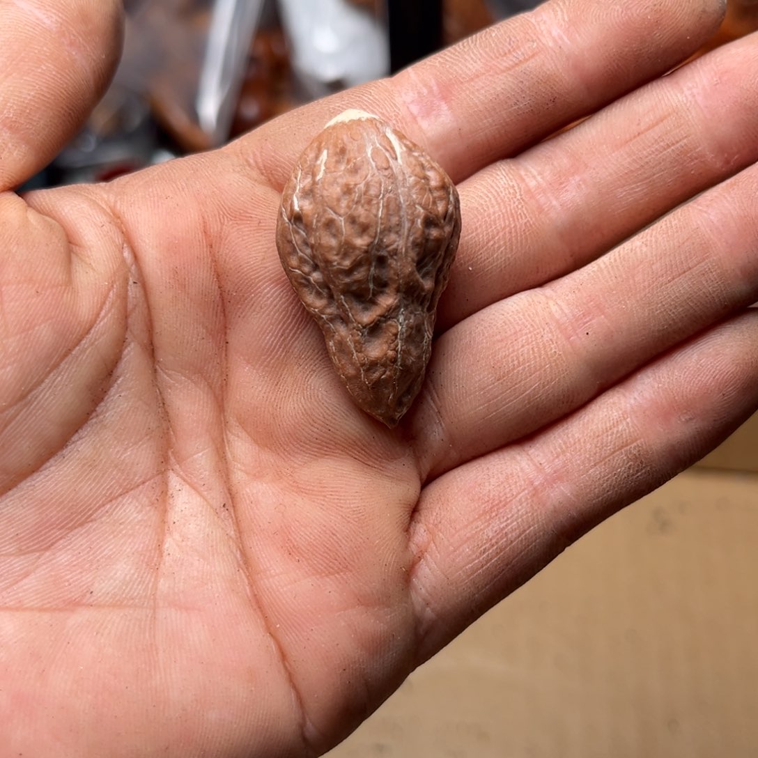 手串文玩核桃核桃140