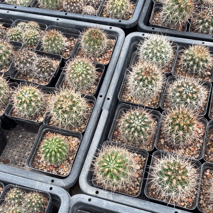 F***d0000000000000000