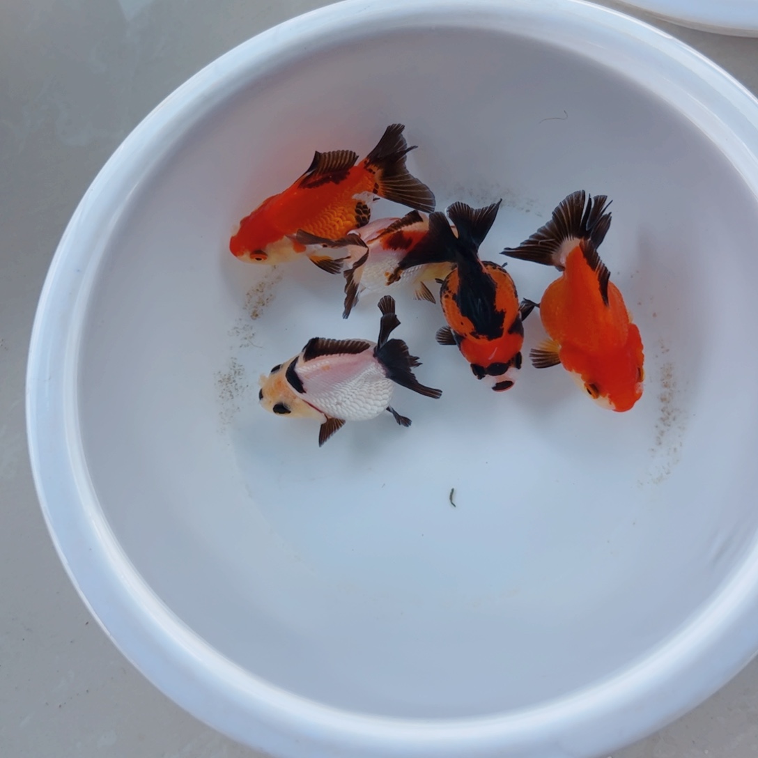 海水41111111111111