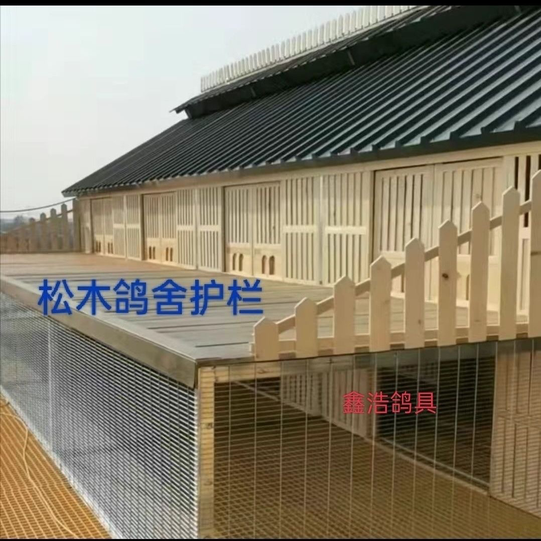 鸽子鸽舍屋顶定制爬梯式防落尖护栏防护栏